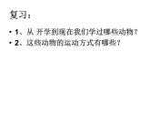 2021-2022 人教版生物八年级上册 5.2.1动物的运动教学课件人教版