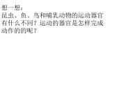 2021-2022 人教版生物八年级上册 5.2.1动物的运动教学课件人教版