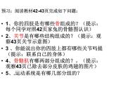 2021-2022 人教版生物八年级上册 5.2.1动物的运动教学课件人教版
