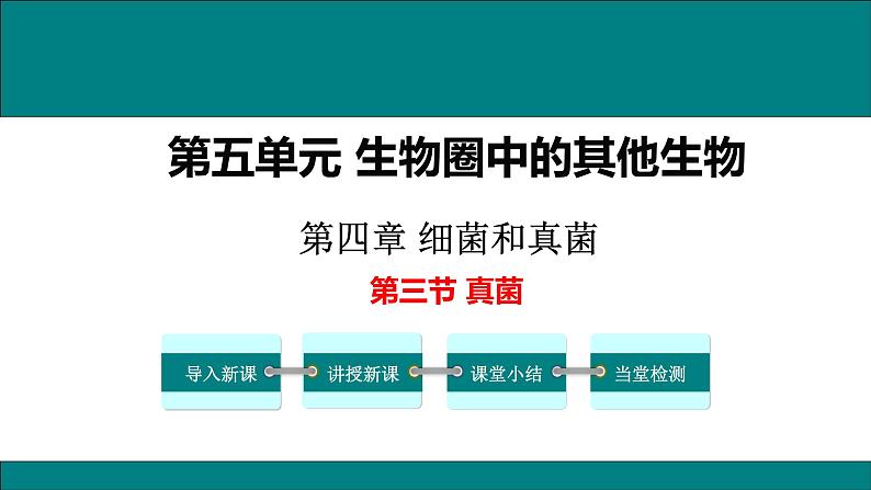 2021-2022 初中生物人教版八年级上册5.4.3   真菌课件（20页）01