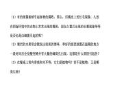 2021-2022 初中生物人教版八年级上册5.4.3   真菌课件（20页）