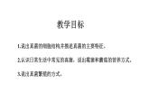 2021-2022 初中生物人教版八年级上册5.4.3   真菌课件（20页）