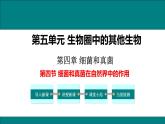 2021-2022 初中生物人教版八年级上册5.4.4  细菌和真菌在自然界中的作用课件（16页）