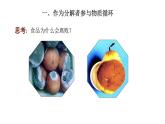 2021-2022 初中生物人教版八年级上册5.4.4  细菌和真菌在自然界中的作用课件（16页）