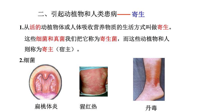 2021-2022 初中生物人教版八年级上册5.4.4  细菌和真菌在自然界中的作用课件（16页）第6页