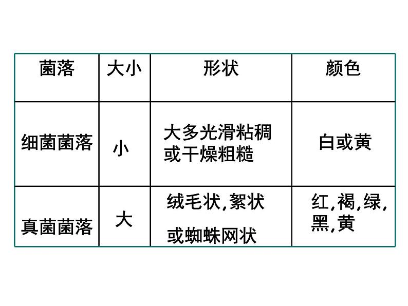 2021-2022 人教版生物八年级上册5.4.1细菌和真菌的分布课件人教版08