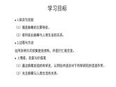 2021-2022 初中生物人教版八年级上册5.5.1   病毒课件（28页）