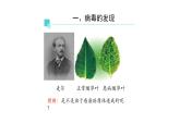 2021-2022 初中生物人教版八年级上册5.5.1   病毒课件（28页）