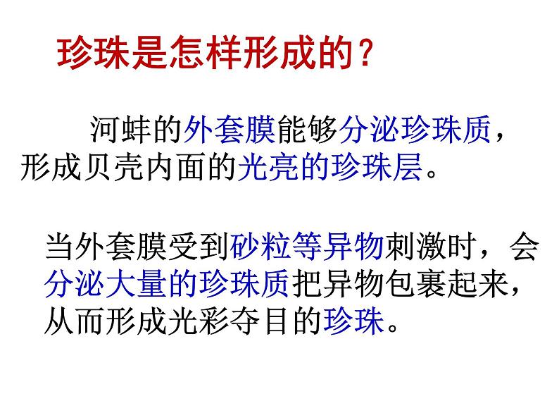 2021-2022 初中人教版 八年级生物上册 5.1.3 软体动物课件 人教版第6页