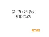 2021-2022 初中人教版 八年级生物上册5.1.2线形动物和环节动物第2课时课件人教版
