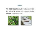 2021-2022 初中人教版 八年级生物上册5.1.2线形动物和环节动物第2课时课件人教版