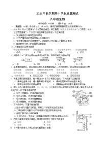 江苏省宜兴市树人中学教育集团2021-2022学年八年级上学期期中学业质量测试生物【试卷+答案】