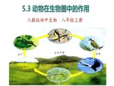 人教版八年级生物上册--5.3动物在生物圈中的作用 课件+视频素材