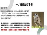 人教版八年级生物上册--5.3动物在生物圈中的作用 课件+视频素材