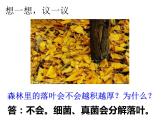 人教版八年级生物上册--5.4.4细菌和真菌在自然界中的作用 课件+视频素材