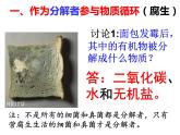 人教版八年级生物上册--5.4.4细菌和真菌在自然界中的作用 课件+视频素材