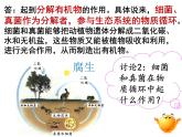 人教版八年级生物上册--5.4.4细菌和真菌在自然界中的作用 课件+视频素材