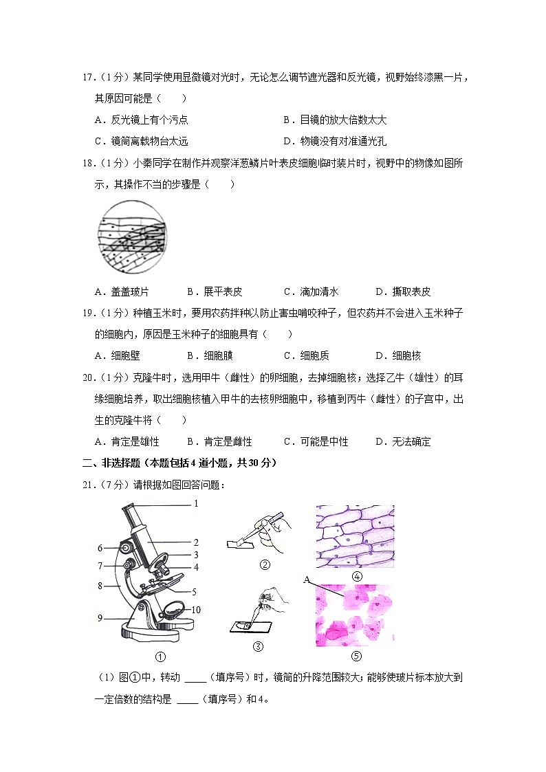 吉林省长春市汽车经术开发区2021-2022学年七年级上学期期中生物【试卷+答案】第3页