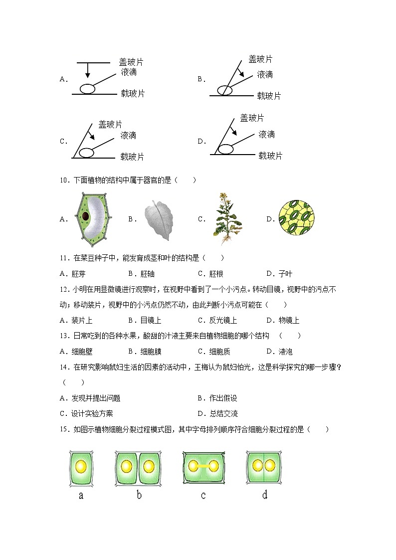 江苏省东台市第五联盟2021-2022学年七年级上学期期中质量检测生物【试卷+答案】第2页