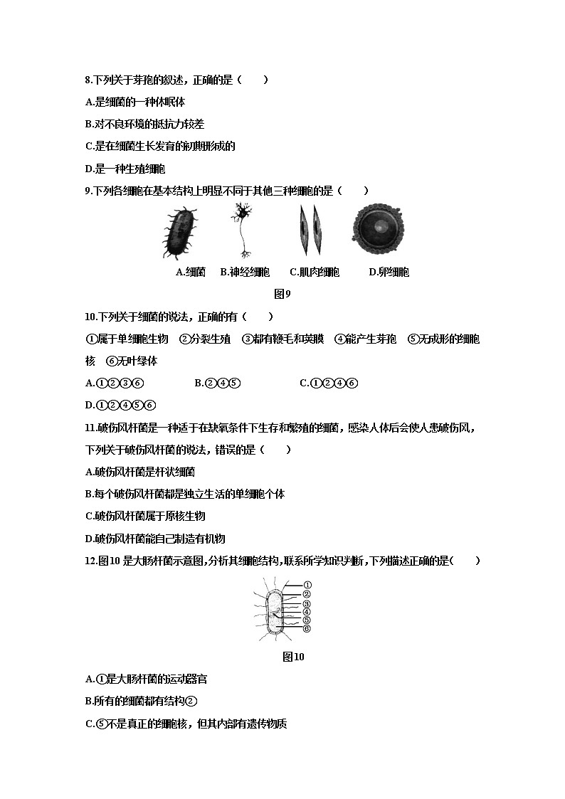 2021-2022 初中生物人教版八年级上册5.4.2  细菌练习题02