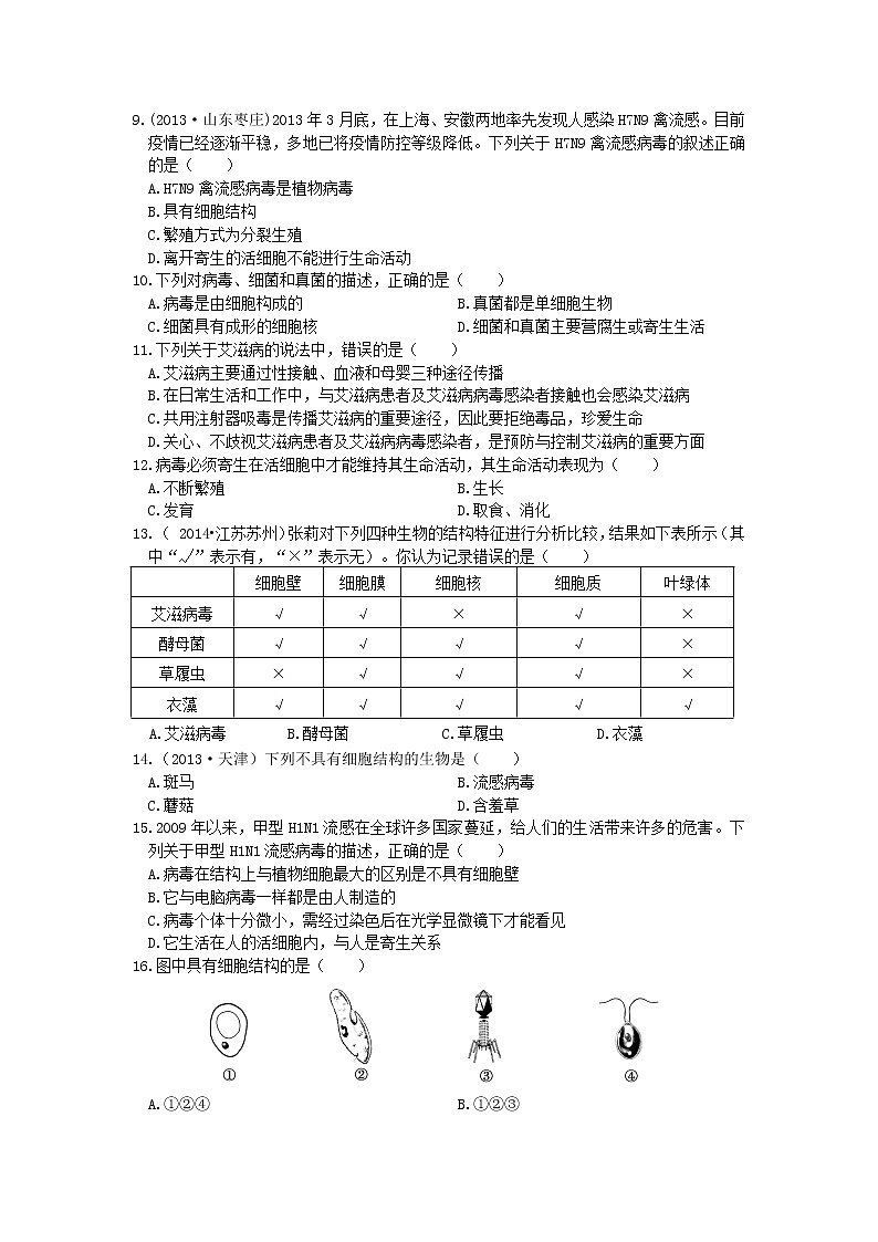 2021-2022 八年级生物上册第五单元第五章病毒检测题02