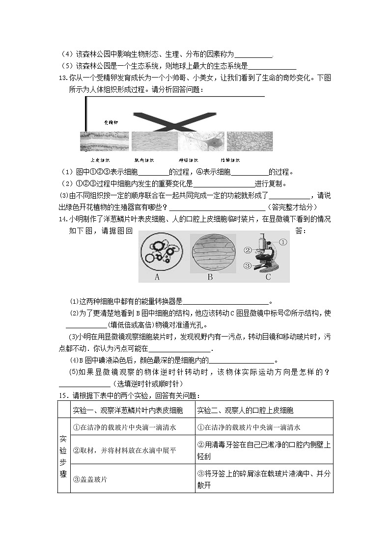湖北省来凤县实验中学2021-2022学年七年级上学期期中生物【试卷+答案】第3页