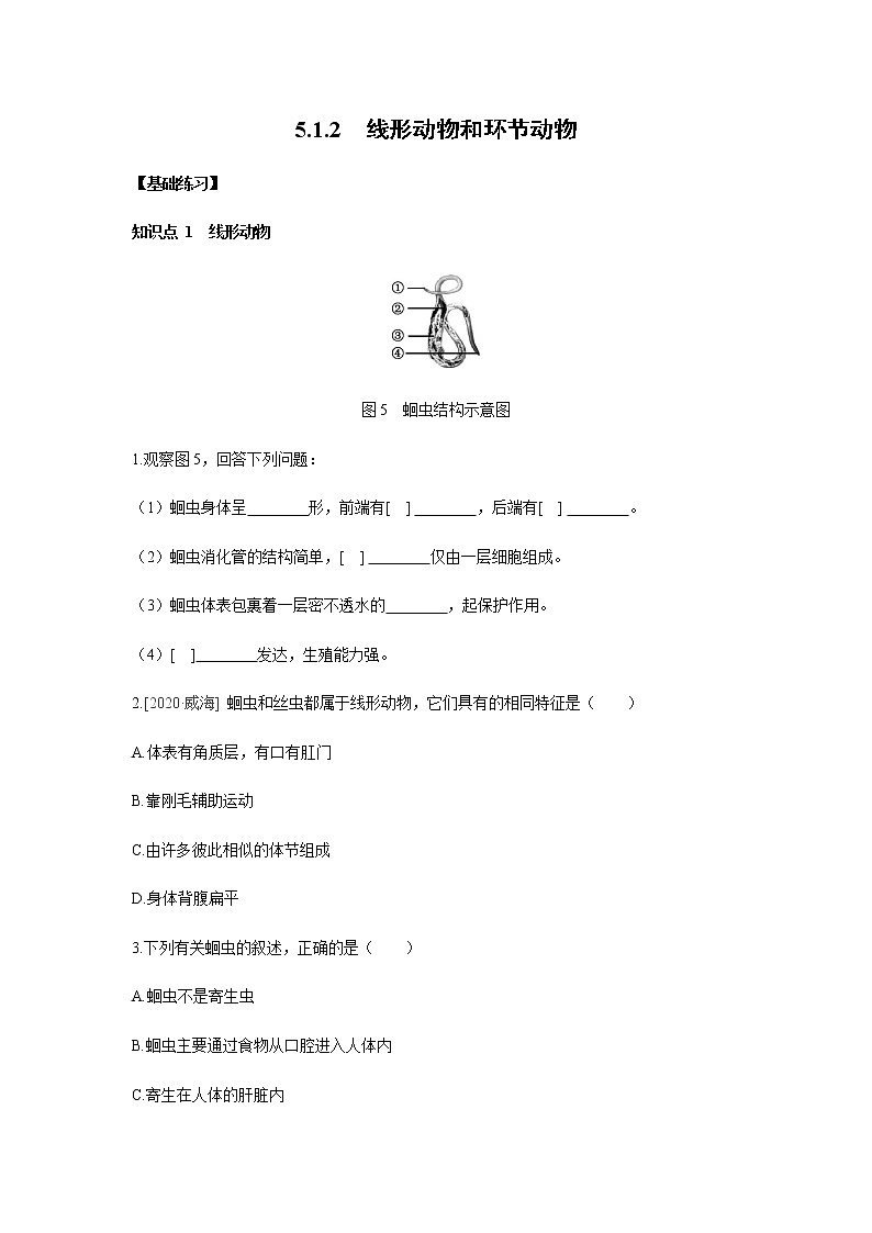 2021-2022 初中生物人教版八年级上册同步教学5.1.2 线形动物和环节动物练习题01