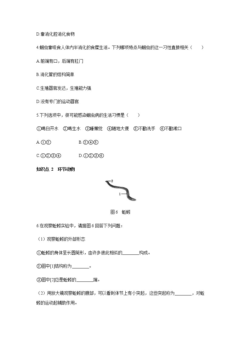 2021-2022 初中生物人教版八年级上册同步教学5.1.2 线形动物和环节动物练习题02