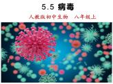 人教版八年级生物上册--病毒（共27张PPT）课件PPT
