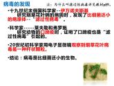 人教版八年级生物上册--病毒（共27张PPT）课件PPT