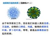 人教版八年级生物上册--病毒（共27张PPT）课件PPT