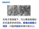 人教版八年级生物上册--病毒（共27张PPT）课件PPT