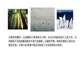 2021-2022 初中生物人教版八年级上册6.2  认识生物的多样性课件(22页）