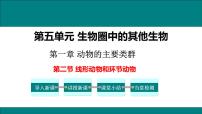 初中生物人教版 (新课标)八年级上册第二节 线形动物和环节动物教学课件ppt