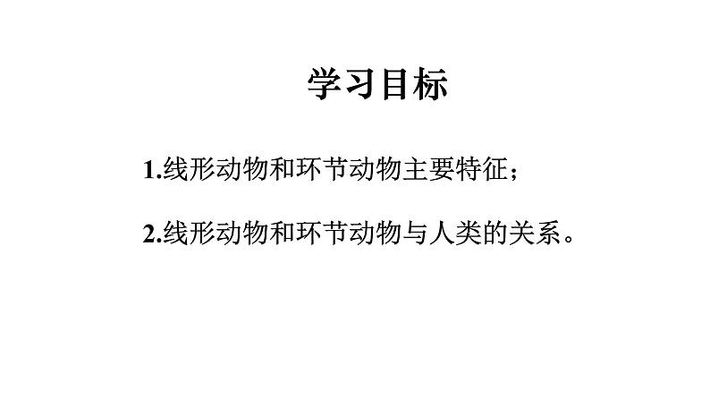 2021-2022 初中生物人教版八年级上册同步教学5.1.2 线形动物和环节动物课件（22页）第2页