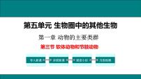 初中生物人教版 (新课标)八年级上册第三节   软体动物和节肢动物教学ppt课件