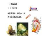 2021-2022 初中生物人教版八年级上册同步教学5.1.3 软体动物和节肢动物课件（25页）