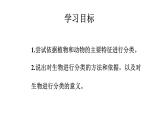 2021-2022 初中生物人教版八年级上册6.1.1  尝试对生物进行分类课件(19页）