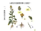 2021-2022 初中生物人教版八年级上册6.1.1  尝试对生物进行分类课件(19页）