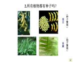 2021-2022 初中生物人教版八年级上册6.1.1  尝试对生物进行分类课件(19页）