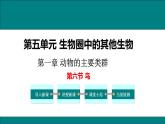 2021-2022 初中生物人教版八年级上册同步教学5.1.6  鸟 课件（17页）