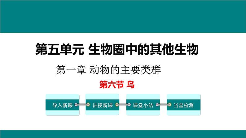 2021-2022 初中生物人教版八年级上册同步教学5.1.6  鸟 课件（17页）01