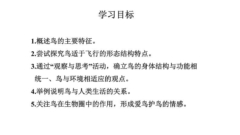 2021-2022 初中生物人教版八年级上册同步教学5.1.6  鸟 课件（17页）03