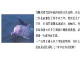 2021-2022 初中生物人教版八年级上册6.3 保护生物的多样性课件