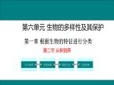 2021-2022 初中生物人教版八年级上册6.1.2   从种到界课件