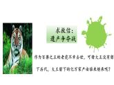 2021-2022 初中生物人教版八年级上册6.1.2   从种到界课件
