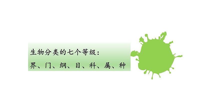 2021-2022 初中生物人教版八年级上册6.1.2   从种到界课件06