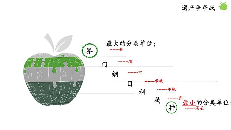 2021-2022 初中生物人教版八年级上册6.1.2   从种到界课件07