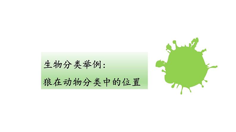 2021-2022 初中生物人教版八年级上册6.1.2   从种到界课件08