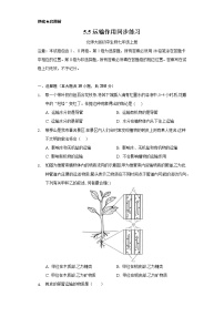 初中生物北师大版七年级上册第5节  运输作用优秀随堂练习题